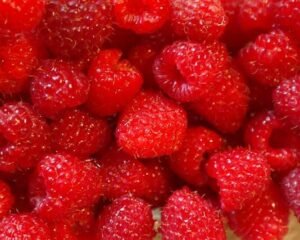 raspberry