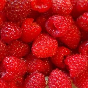 raspberry